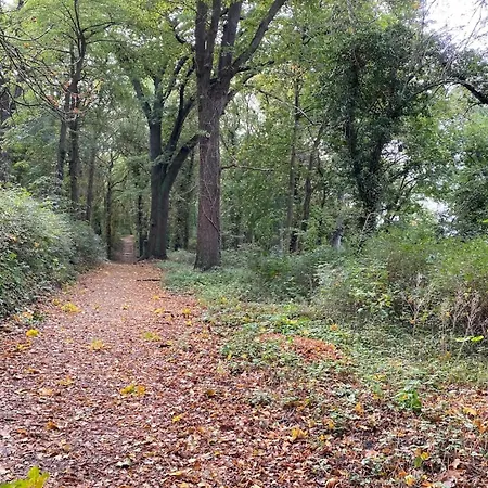 Ferienwohnungen, * Malchow (Mecklenburg-Vorpommern)